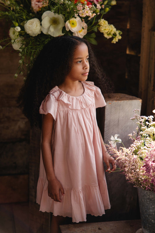 Jamie Kay Calianna Dress Shell Pink