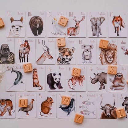 Modern Monty Animal Alphabet Flash Cards