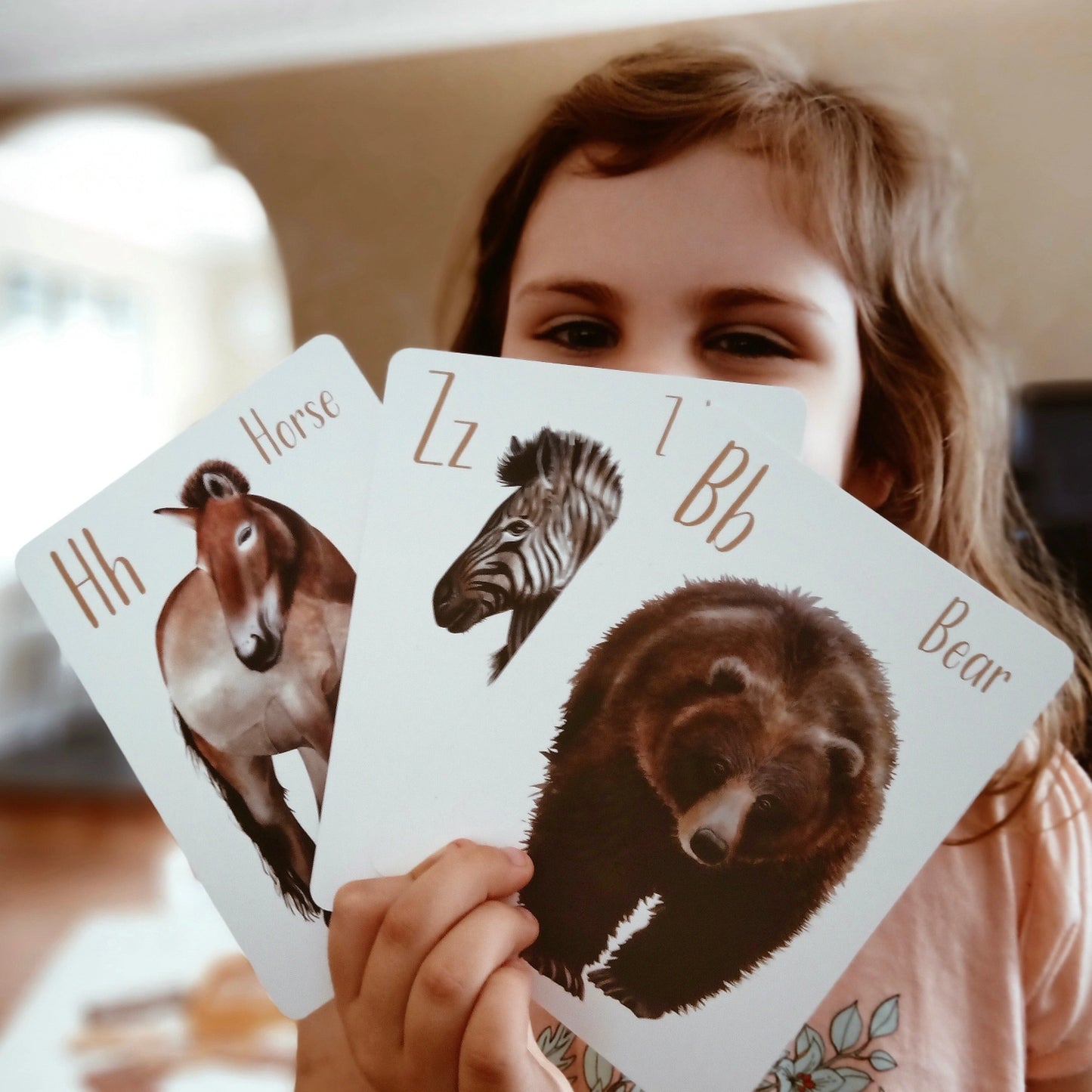 Modern Monty Animal Alphabet Flash Cards