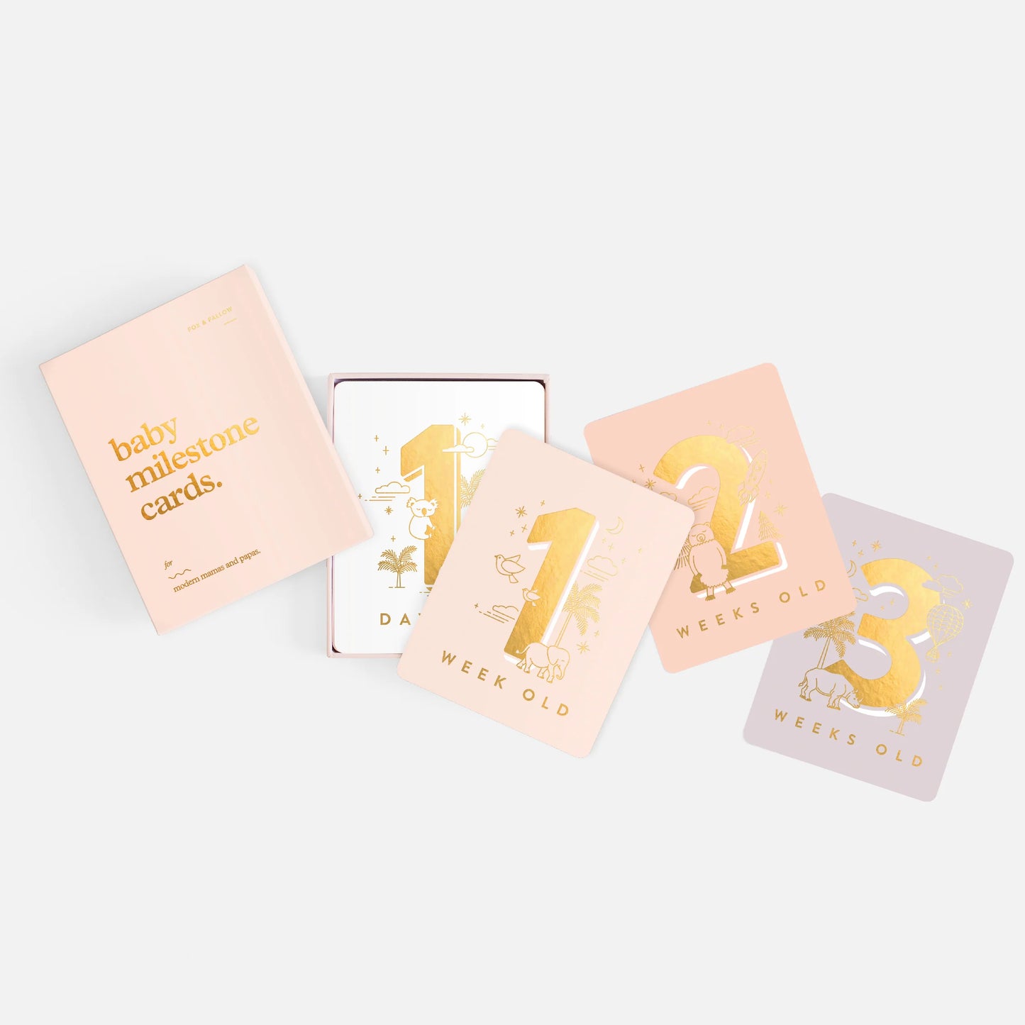 Fox & Follow Baby Milestone Cards Pink