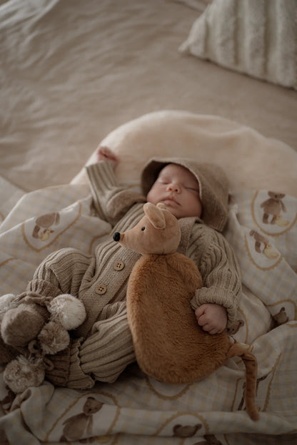 Pop Ya Tot Squeaky the Sweet Comforter Toy