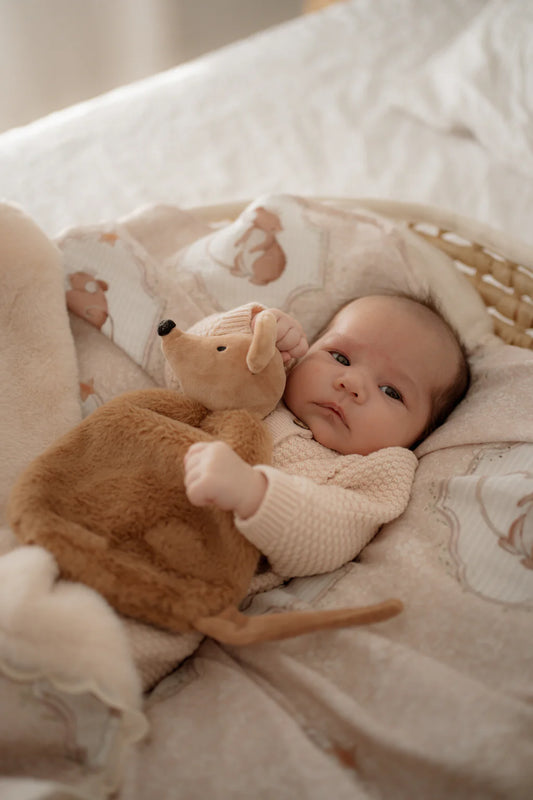 Pop Ya Tot Squeaky the Sweet Comforter Toy