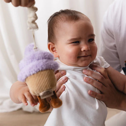 Living Textiles 2pk Stroller Toys Ice Cream & Cupcake