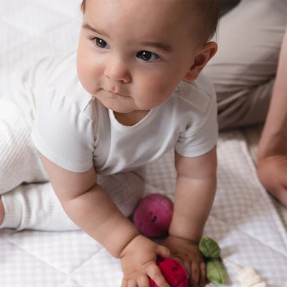 Living Textiles 2pk Stroller Toys Pineapple & Cherries