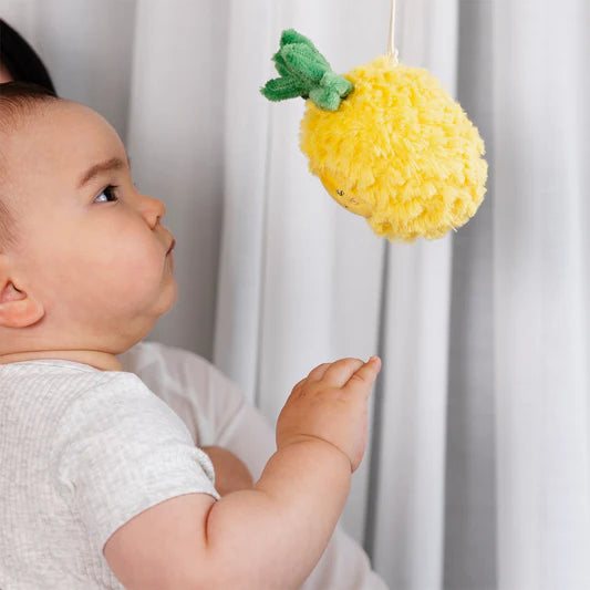 Living Textiles 2pk Stroller Toys Pineapple & Cherries