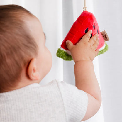 Living Textiles 2pk Stroller Toys Watermelon & Blueberry