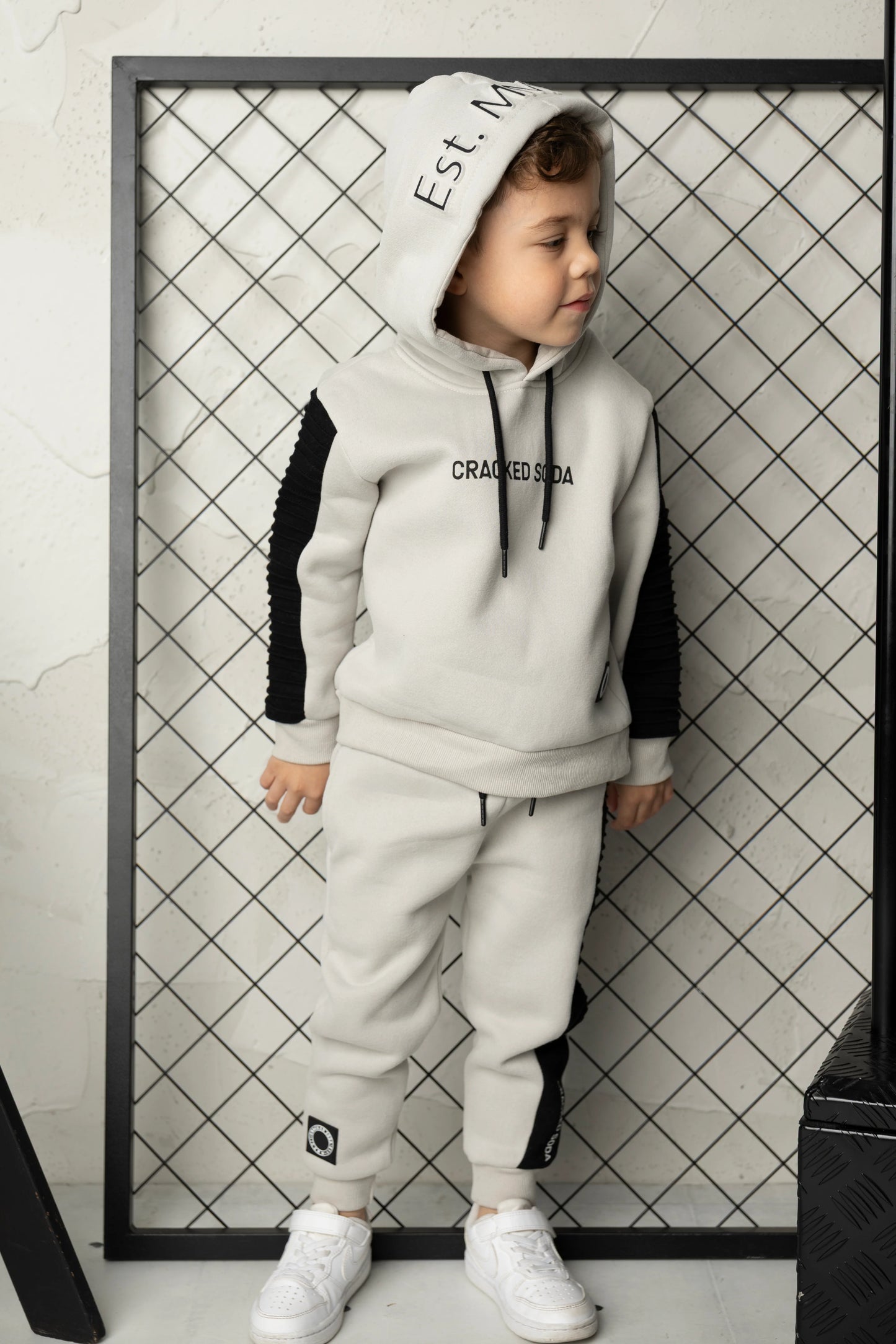 Cracked Soda Leo Elevated Hoodie Pebble