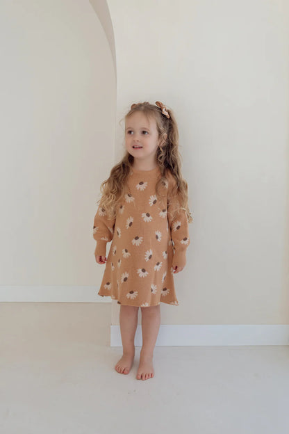 Ziggy Lou Dress Hazel