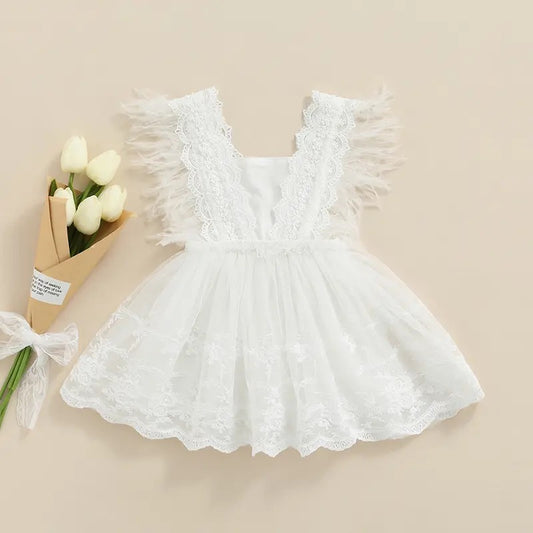 Feathered Sleeve Lace Dress