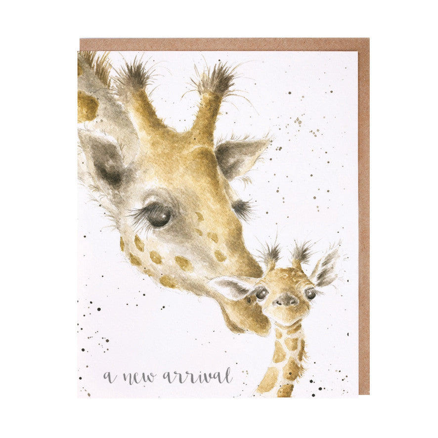 Greeting Gift Card – Various