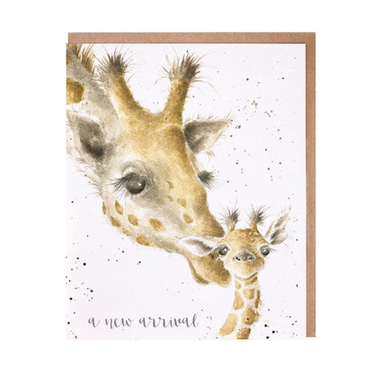 Greeting Gift Card – Various