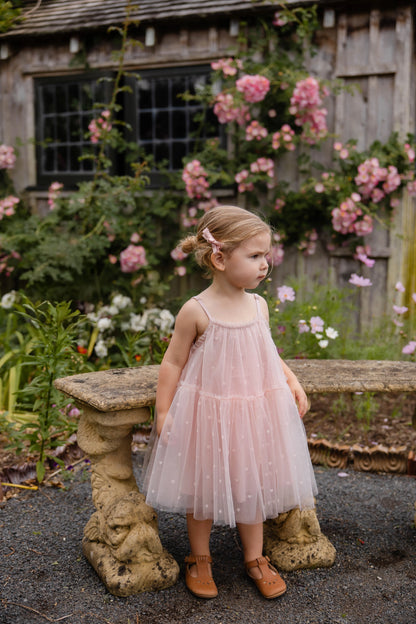 Jamie Kay Nylah Dress Old Rose