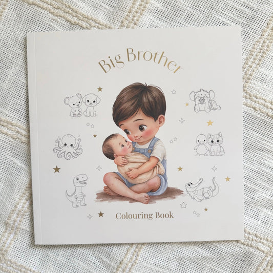 Little Love Chapters Big Brother Colouring Book