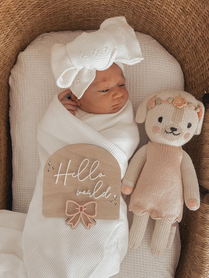Hello World Bow Birth Announcement Sign