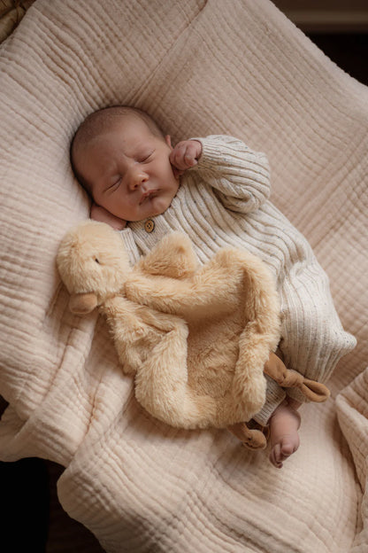 Pop Ya Tot Quacks the Duck Comforter Toy
