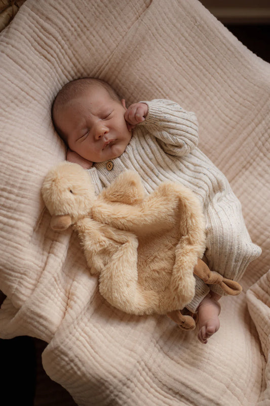 Pop Ya Tot Quacks the Duck Comforter Toy