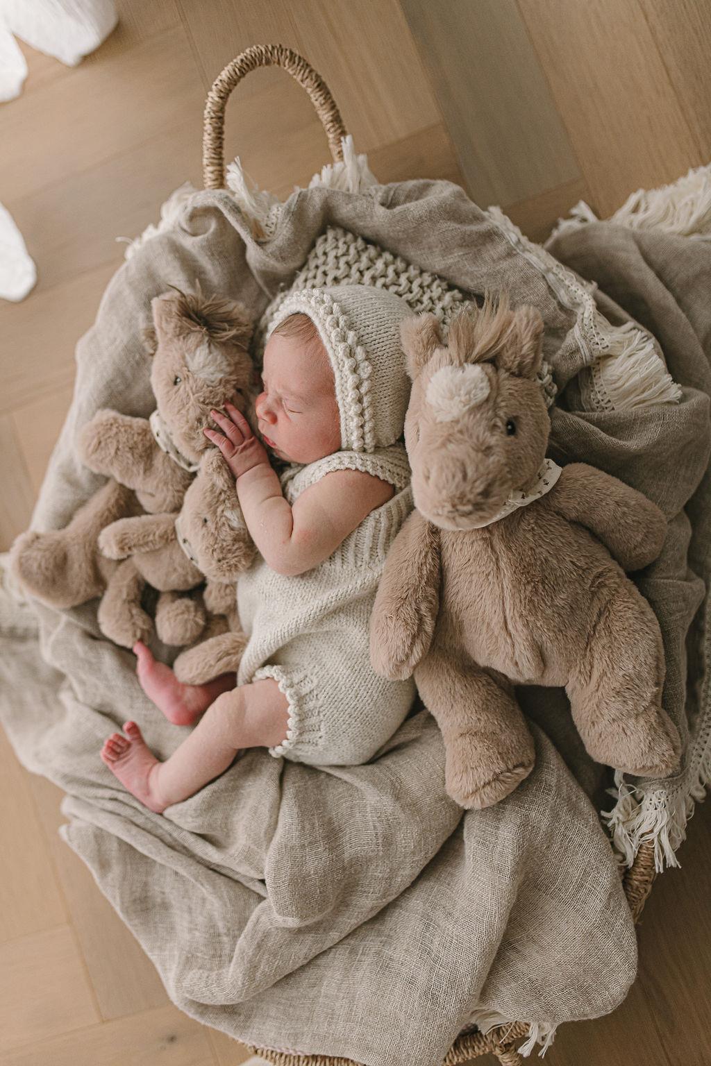 Nana Huchy Harvey the Horse