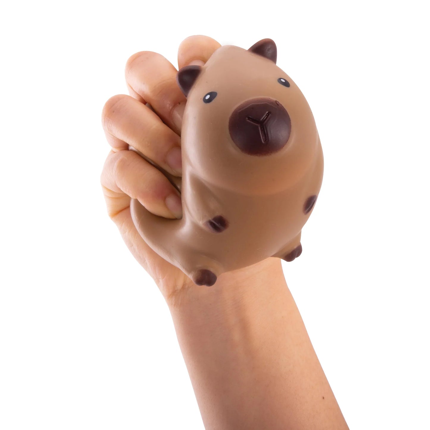 Discovery Zone Squishy Capybara