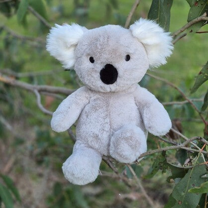 Petite Vous Sidney Koala