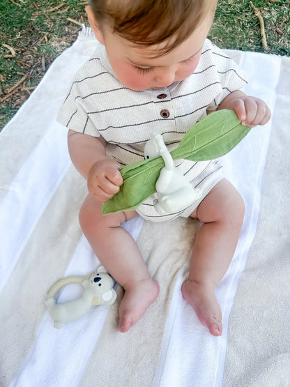 Winnie Parkes Banks the Koala Rattle & Scrunch