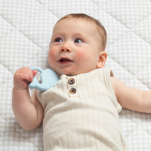 Living Textiles 2pk Silicone Teether Whale & Cloud