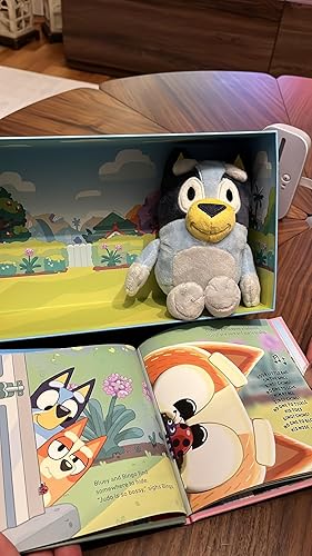 Mini Bluey & Bluey Book & Toy Box Set