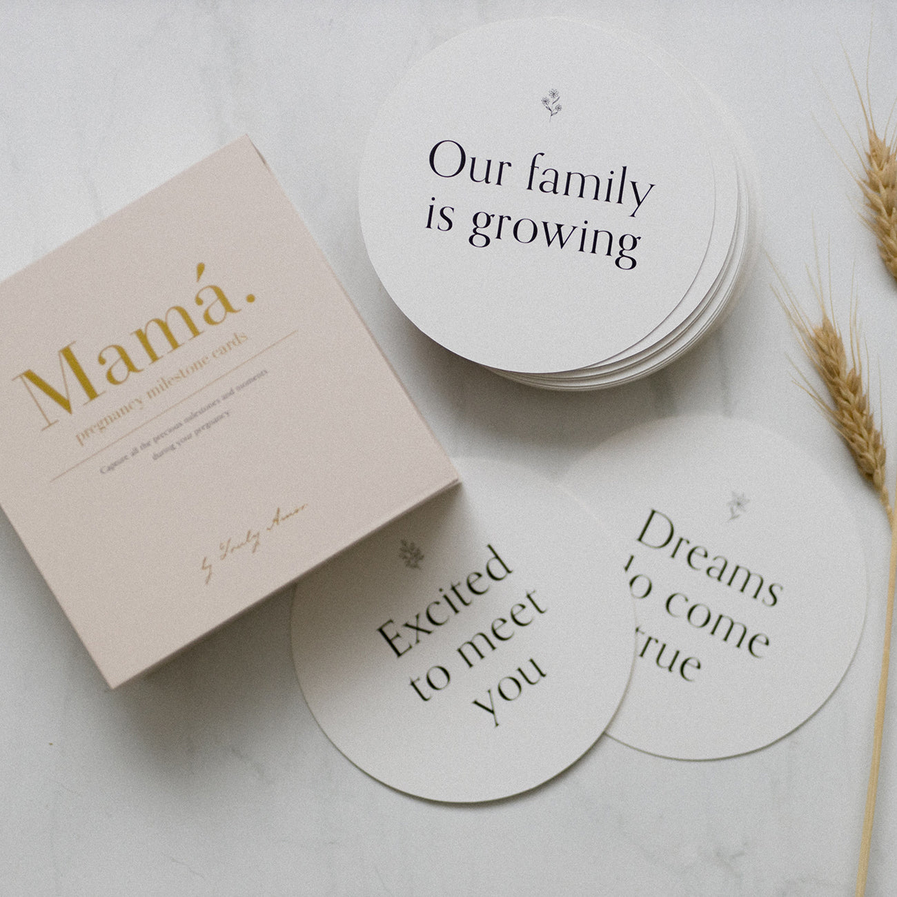 Truly Amor Mama Pregnancy Milestone Cards