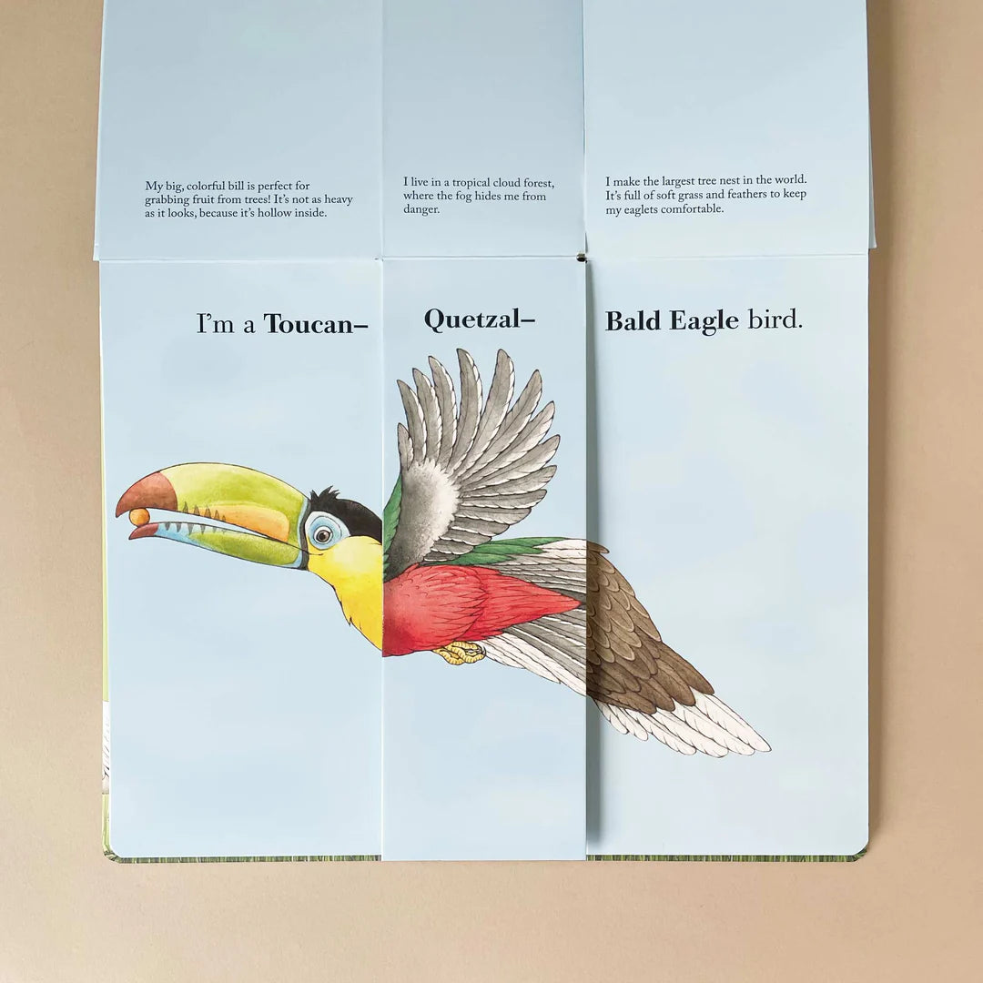 Flip-A-Feather Flip & Flop Book